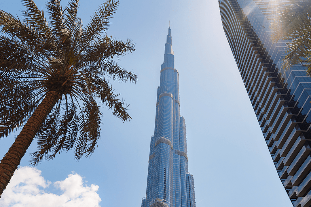 Global Distribution - Cali Crest Dubai