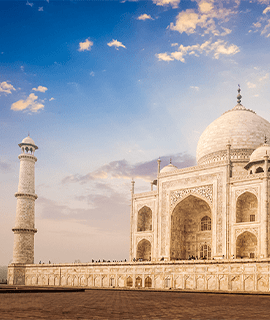 Global-Distribution-Cali-Crest-India-Min